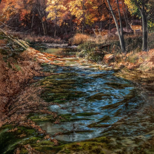 A stream runs through a field as the leaves begin to change