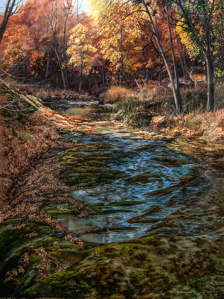 A stream runs through a field as the leaves begin to change
