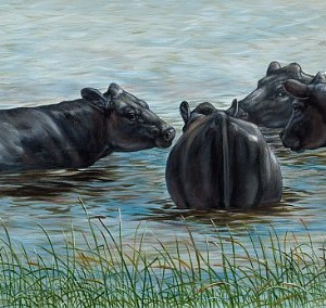 A herd of cattle gather in water