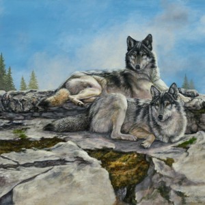 A pair of wolves sit atop a rocky mountain