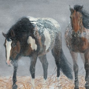 Two horses graze in a show-covered field