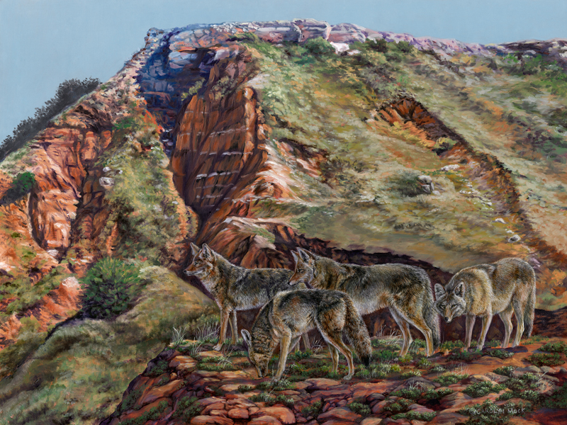 A pack of wolves stand atop a hillside
