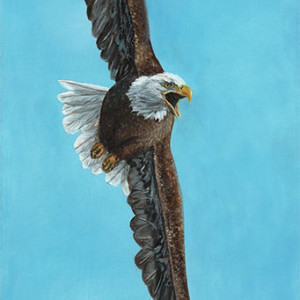 An eagle takes flight in a blue sky