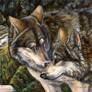 A pair of wolves nuzzle each other in a field