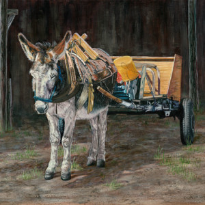 A donkey earns his snack by hauling a cart